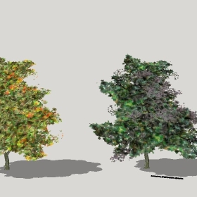 ͼʦģֲģȫ20222395