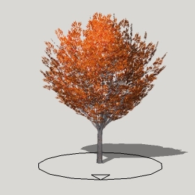 ͼʦģֲģȫ20222444