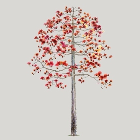 ͼʦģֲģȫ20222590