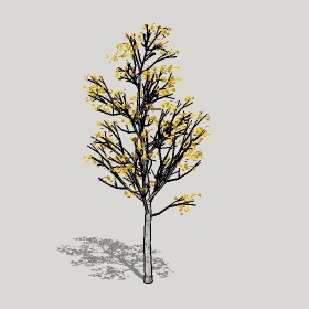 ͼʦģֲģȫ20221189