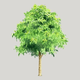 ͼʦģֲģȫ20221926