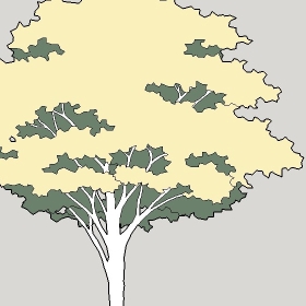 ͼʦģֲģȫ20222373