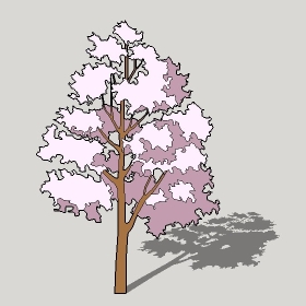 ͼʦģֲģȫ20222683