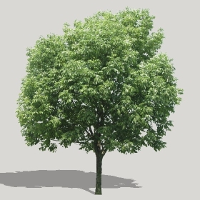 ͼʦģֲģȫ20221290