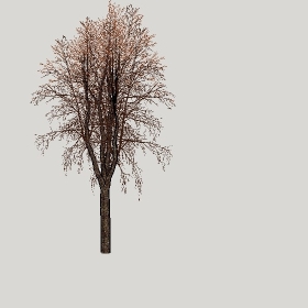 ͼʦģֲģȫ20222434