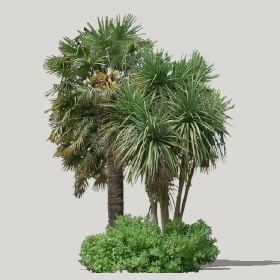 ͼʦģֲģȫ20221207