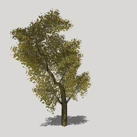 ͼʦģֲģȫ20221298