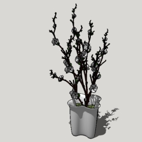 ͼʦSketchupƷģ20221125ϴ046