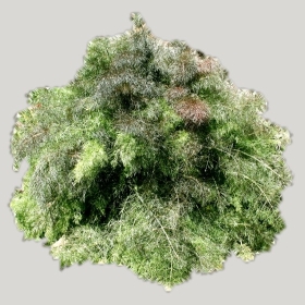 ͼʦģֲģȫ20221182