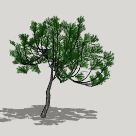 ͼʦģֲģȫ20221232