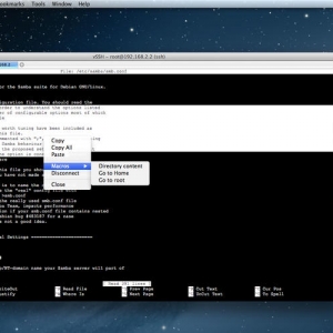 vSSH for mac 1.10.2 – SSH、Telnet客户端与iCloud连接，宏和密钥共享 最新绿化