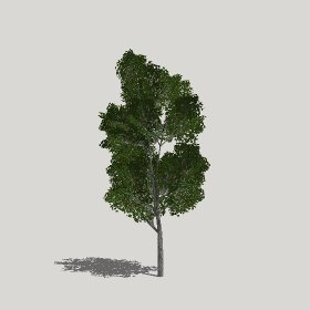 ͼʦģֲģȫ20221299