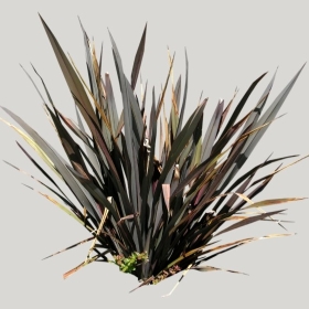 ͼʦģֲģȫ20221991